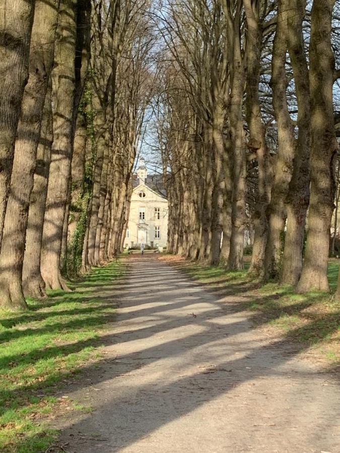 De Lotuspoort Met Mihr'S B&B In De Abdij Van ボルネム エクステリア 写真