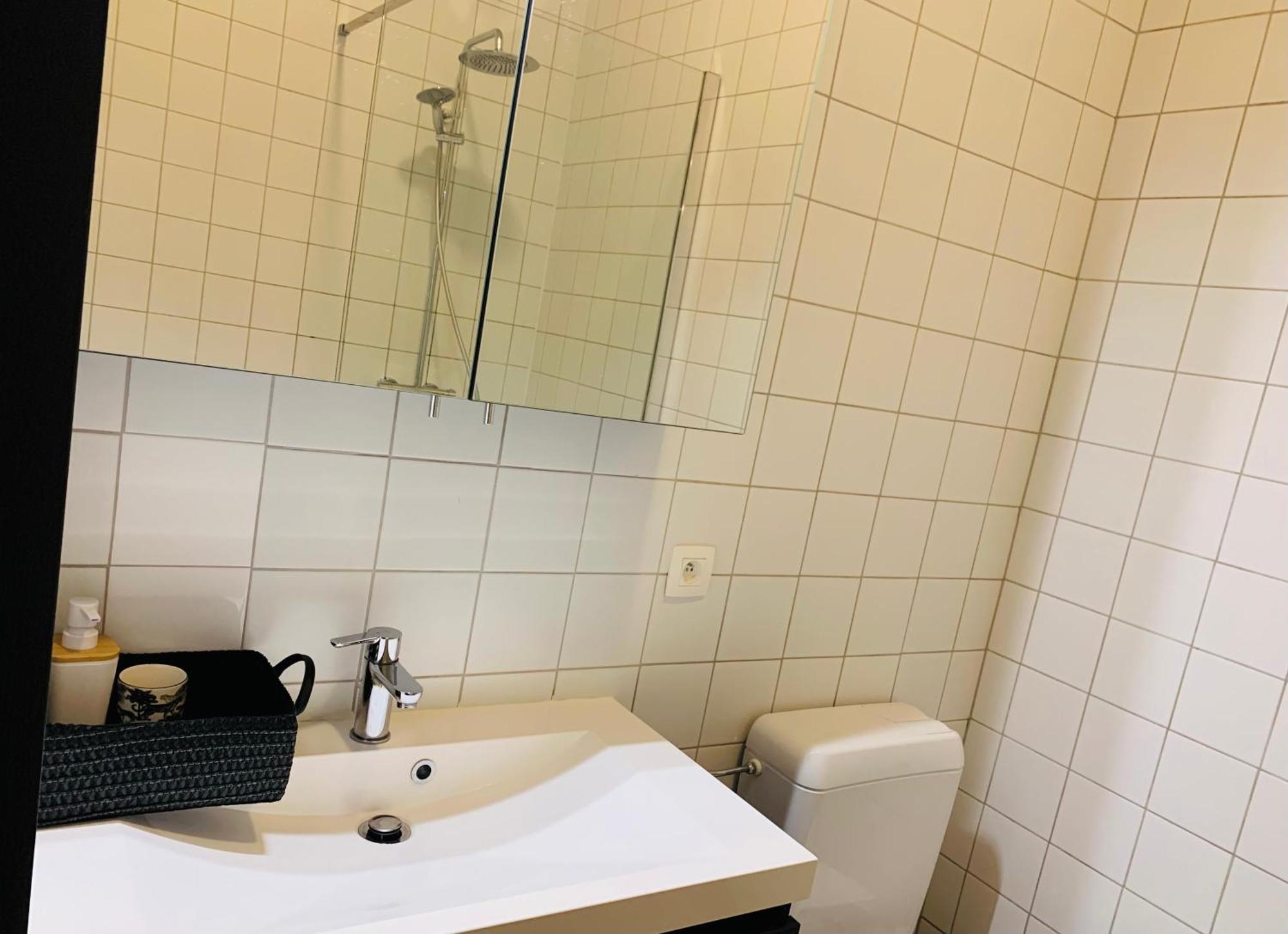 De Lotuspoort Met Mihr'S B&B In De Abdij Van ボルネム エクステリア 写真